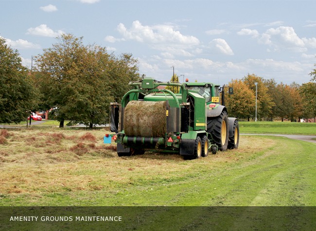 amenitygroundsmaintenance03